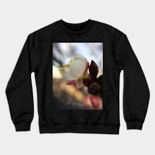 Spring Time is Coming Crewneck Sweatshirt